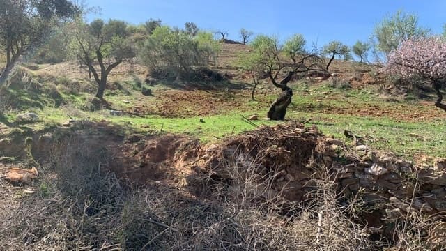 4 sypialnia Finka/Dom wiejski na sprzedaż w Lubrin - 65 000 € (Ref: 5374793)