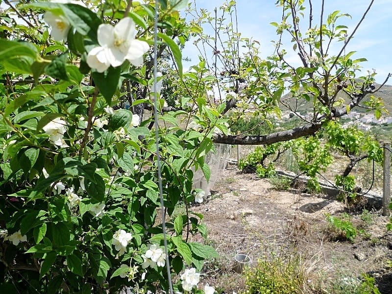 2 chambre Finca/Maison de Campagne à vendre à Lubrin - 150 000 € (Ref: 5374896)