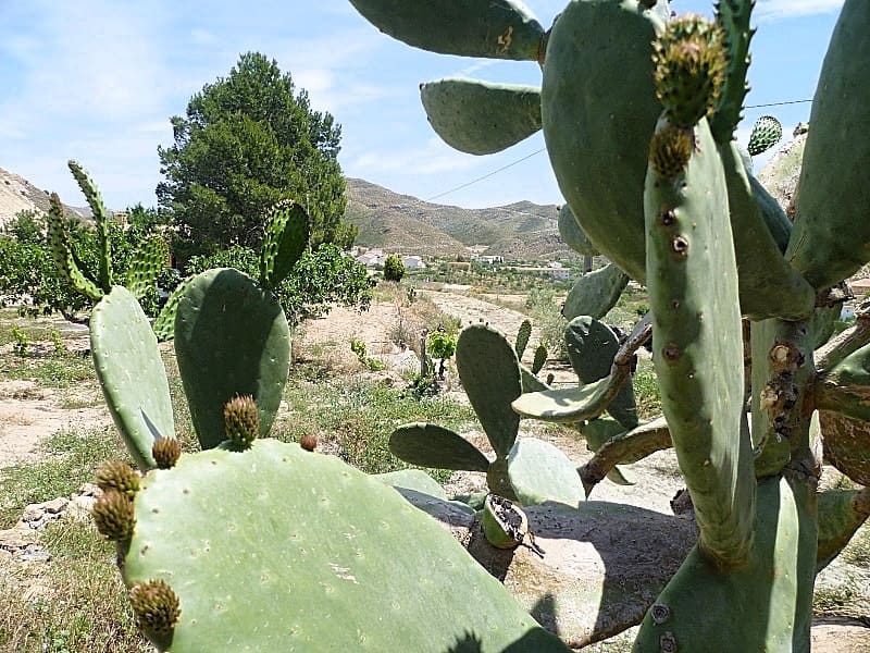 2 chambre Finca/Maison de Campagne à vendre à Lubrin - 150 000 € (Ref: 5374896)