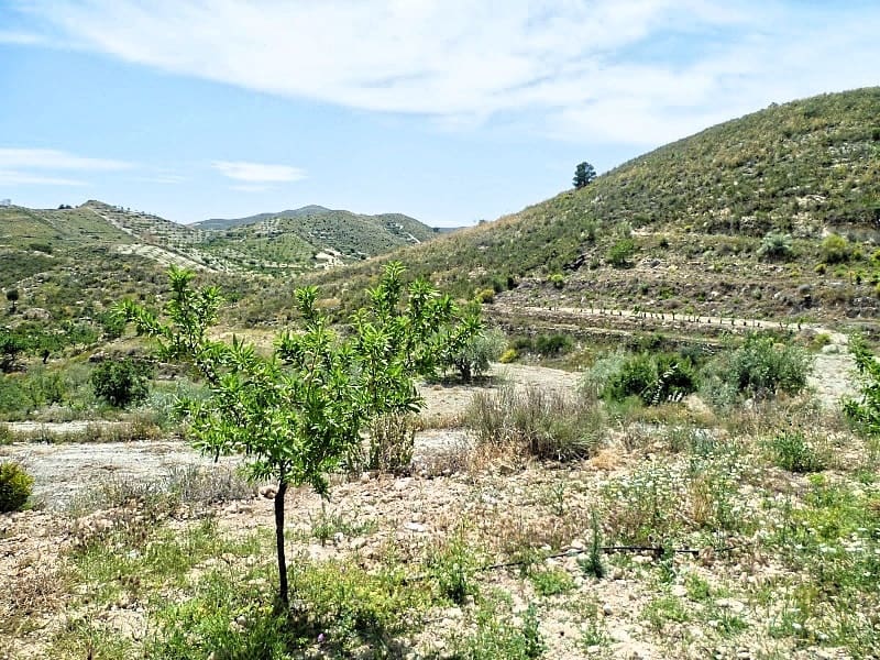 2 chambre Finca/Maison de Campagne à vendre à Lubrin - 150 000 € (Ref: 5374896)