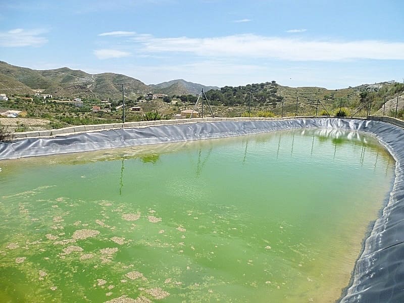 2 chambre Finca/Maison de Campagne à vendre à Lubrin - 150 000 € (Ref: 5374896)