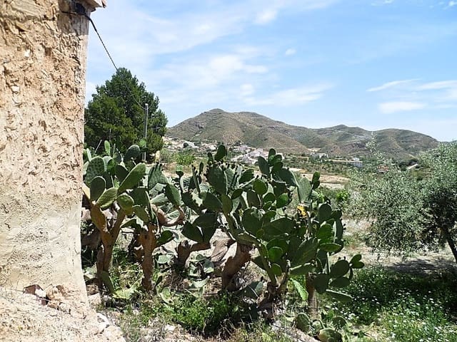 2 Zimmer Finca/Landgut zu verkaufen in Lubrín - 150.000 € (Ref: 5374896)