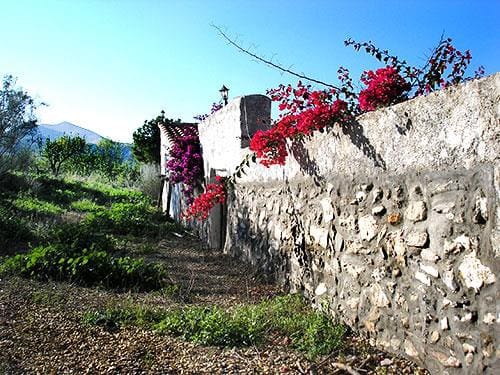 8 sypialnia Finka/Dom wiejski na sprzedaż w Lubrin - 749 000 € (Ref: 5374931)