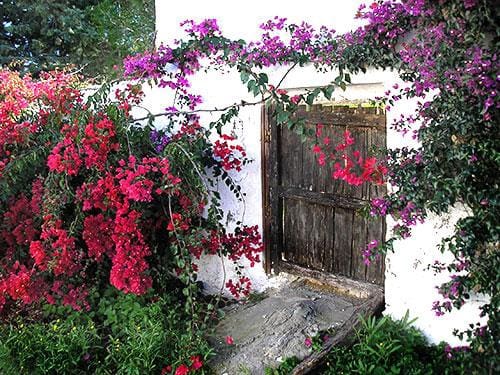 8 sypialnia Finka/Dom wiejski na sprzedaż w Lubrin - 749 000 € (Ref: 5374931)