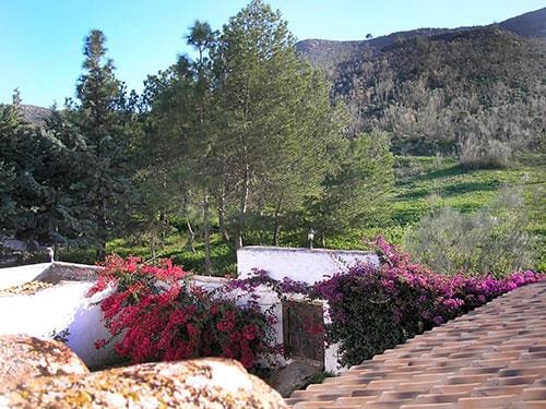 8 sypialnia Finka/Dom wiejski na sprzedaż w Lubrin - 749 000 € (Ref: 5374931)