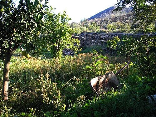 8 sypialnia Finka/Dom wiejski na sprzedaż w Lubrin - 749 000 € (Ref: 5374931)