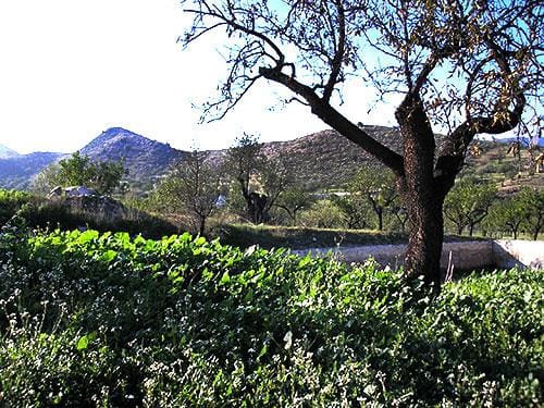 8 sypialnia Finka/Dom wiejski na sprzedaż w Lubrín - 749 000 € (Ref: 5374931)