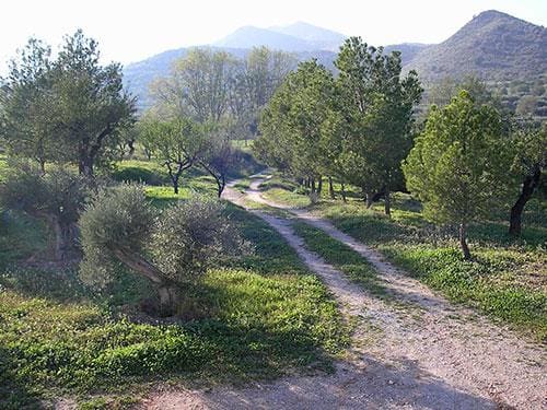 8 sypialnia Finka/Dom wiejski na sprzedaż w Lubrin - 749 000 € (Ref: 5374931)