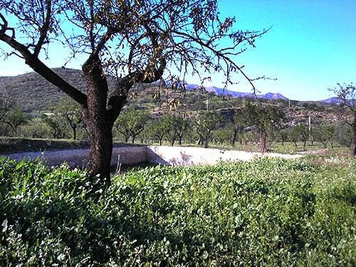 8 sypialnia Finka/Dom wiejski na sprzedaż w Lubrin - 749 000 € (Ref: 5374931)