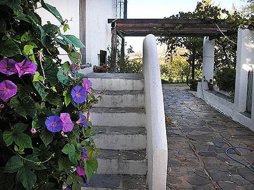 8 sypialnia Finka/Dom wiejski na sprzedaż w Lubrin - 749 000 € (Ref: 5374931)