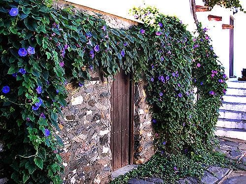 8 sypialnia Finka/Dom wiejski na sprzedaż w Lubrin - 749 000 € (Ref: 5374931)