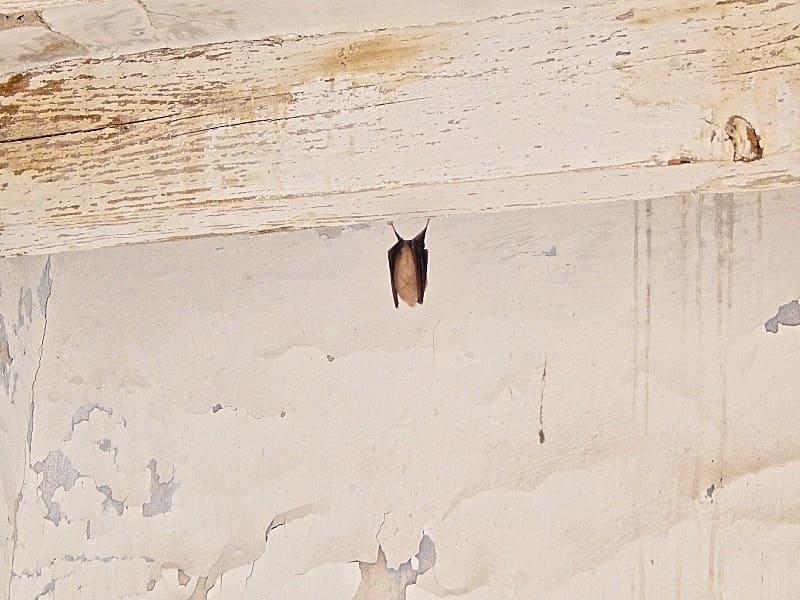 3 soveværelse Finca/Landehus til salg i Lubrin - € 69.950 (Ref: 5374938)