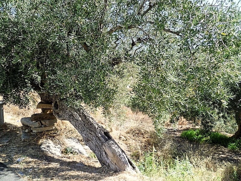 6 sovrum Hus till salu i Lubrin - 55 000 € (Ref: 5374952)