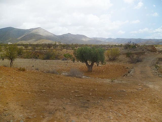 4 soveværelse Finca/Landehus til salg i Uleila del Campo - € 235.000 (Ref: 5374954)