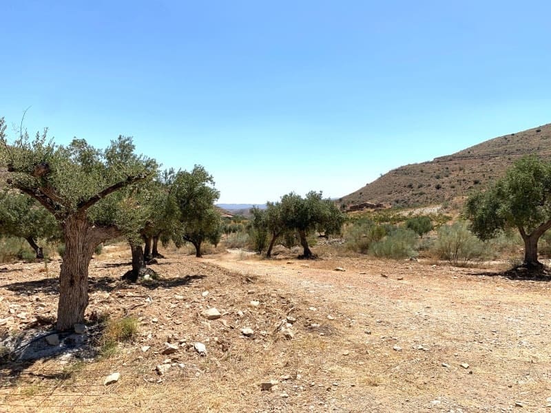 3 soveværelse Villa til salg i Uleila del Campo - € 145.000 (Ref: 5530418)