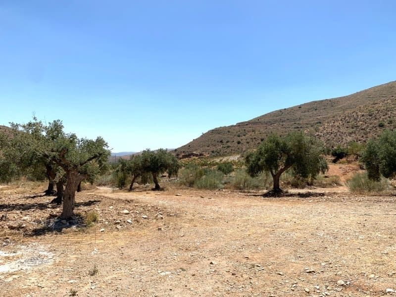 3 soveværelse Villa til salg i Uleila del Campo - € 145.000 (Ref: 5530418)