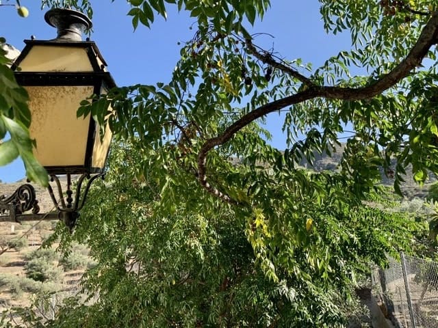 4 sypialnia Finka/Dom wiejski na sprzedaż w Lubrin - 83 000 € (Ref: 5627522)