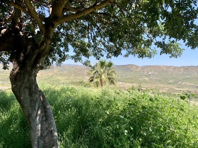 5 soveværelse Villa til salg i Lucainena de las Torres med swimmingpool - € 345.000 (Ref: 6843004)