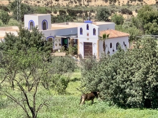 5 soveværelse Villa til salg i Lucainena de las Torres med swimmingpool - € 345.000 (Ref: 6843004)