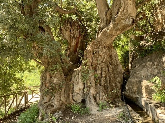 5 soveværelse Villa til salg i Lucainena de las Torres med swimmingpool - € 345.000 (Ref: 6843004)