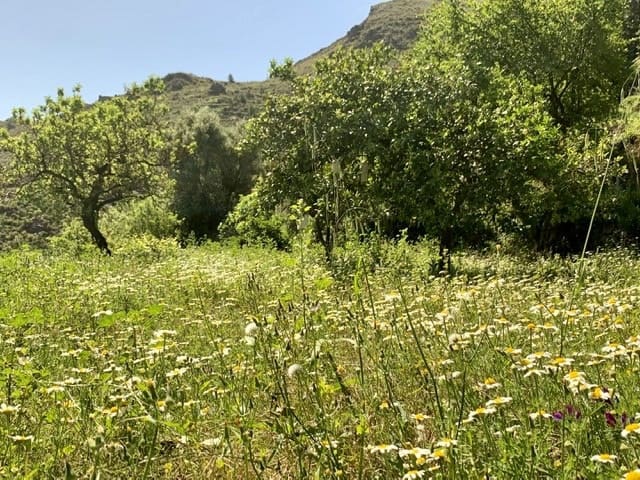 5 soveværelse Villa til salg i Lucainena de las Torres med swimmingpool - € 345.000 (Ref: 6843004)