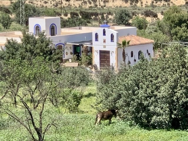 3 soveværelse Lejlighed til salg i Lucainena de las Torres - € 89.950 (Ref: 7182918)