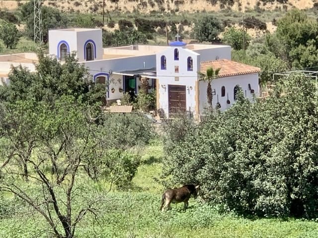 3 soverom Leilighet til salgs i Lucainena de las Torres - € 85 000 (Ref: 7296331)