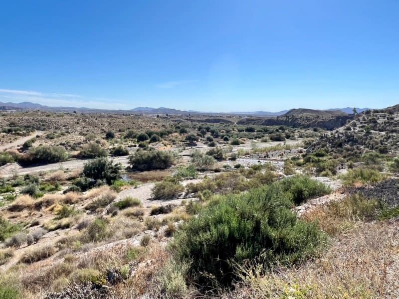 5 soveværelse Finca/Landehus til salg i Taberno - € 345.000 (Ref: 7767810)