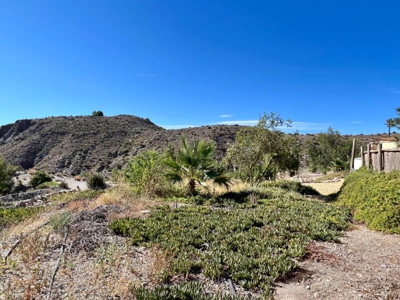 5 soveværelse Finca/Landehus til salg i Taberno - € 345.000 (Ref: 7767810)