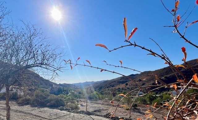 2 slaapkamer Villa te koop in Lubrin met zwembad - € 249.950 (Ref: 8030920)