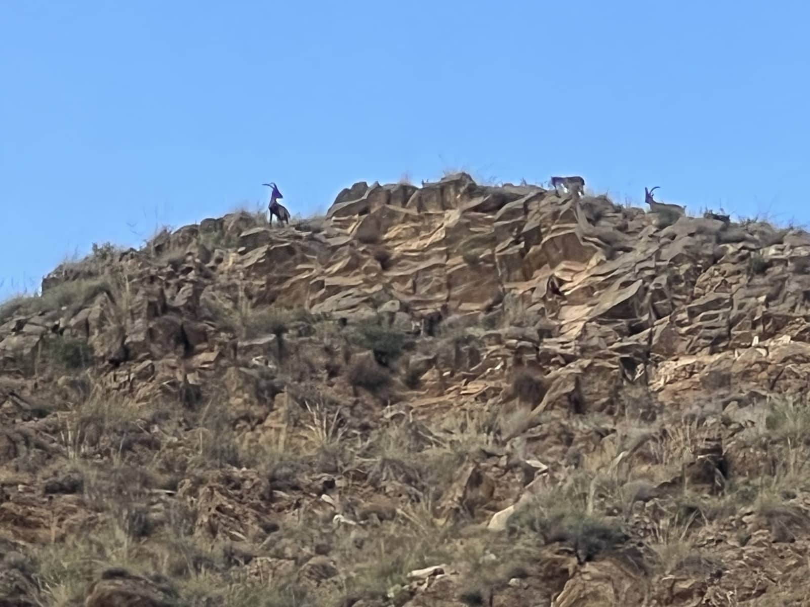 2 slaapkamer Villa te koop in Lubrin met zwembad - € 249.950 (Ref: 8030920)