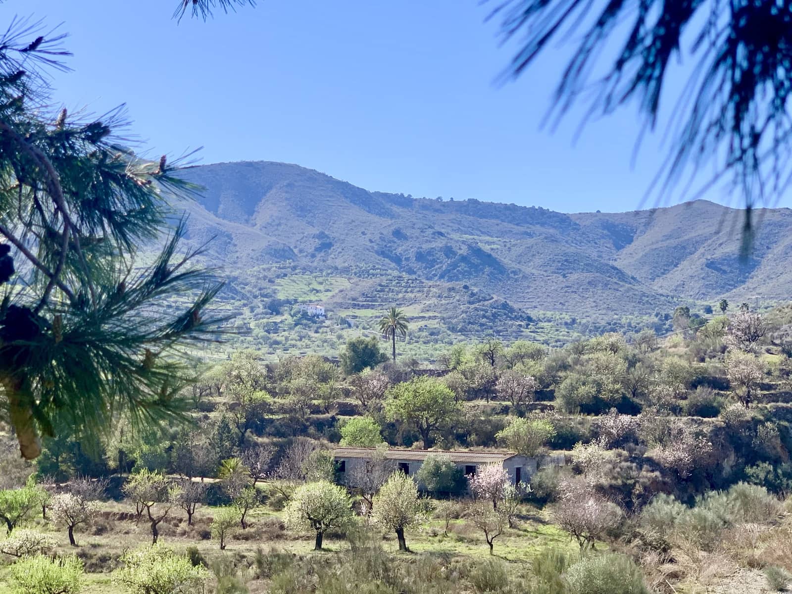 2 slaapkamer Villa te koop in Lubrin met zwembad - € 249.950 (Ref: 8030920)