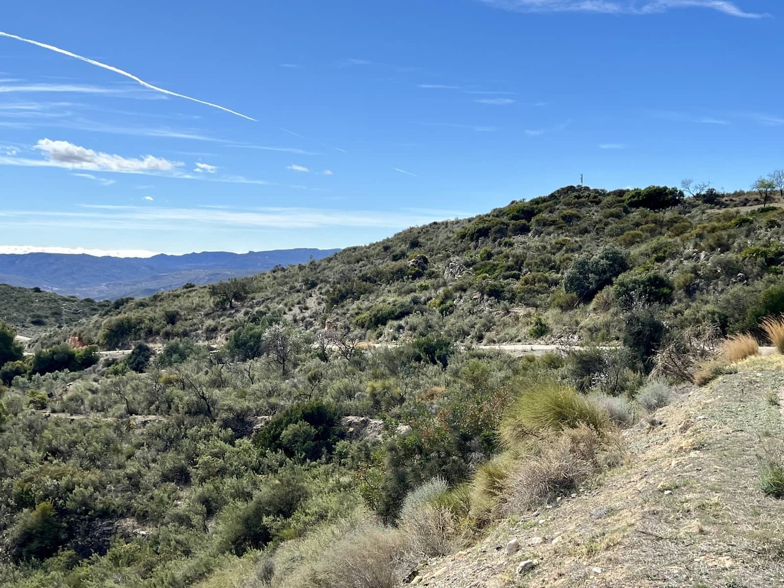 Grunde uden byggetilladelser til salg i Bedar - € 89.000 (Ref: 8094153)