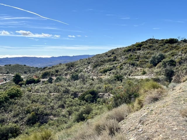 Undeveloped Land for sale in Bédar - € 89,000 (Ref: 8094153)