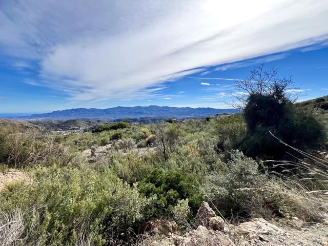 Undeveloped Land for sale in Bédar - € 89,000 (Ref: 8094153)