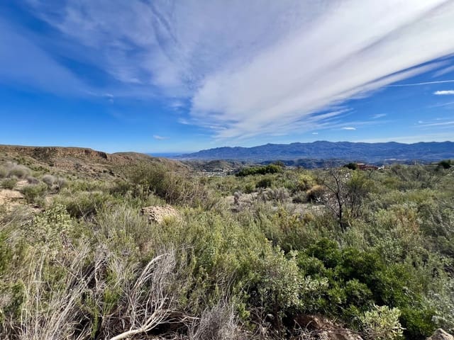 Undeveloped Land for sale in Bédar - € 89,000 (Ref: 8094153)