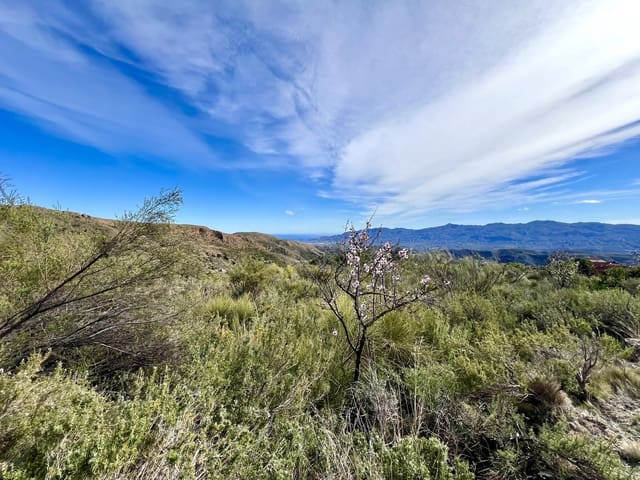 Undeveloped Land for sale in Bédar - € 89,000 (Ref: 8094153)