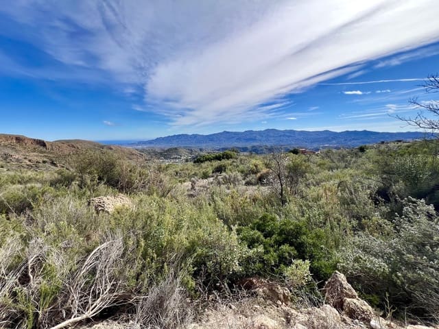 Undeveloped Land for sale in Bédar - € 89,000 (Ref: 8094153)