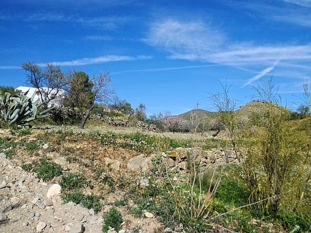 Undeveloped Land for sale in Lubrín - € 29,950 (Ref: 8160623)