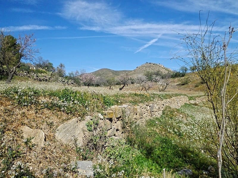 Grond te koop in Lubrin - € 29.950 (Ref: 8160623)