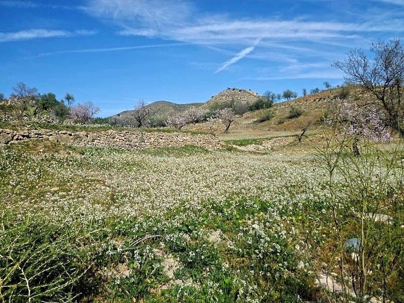 Grond te koop in Lubrin - € 29.950 (Ref: 8160623)