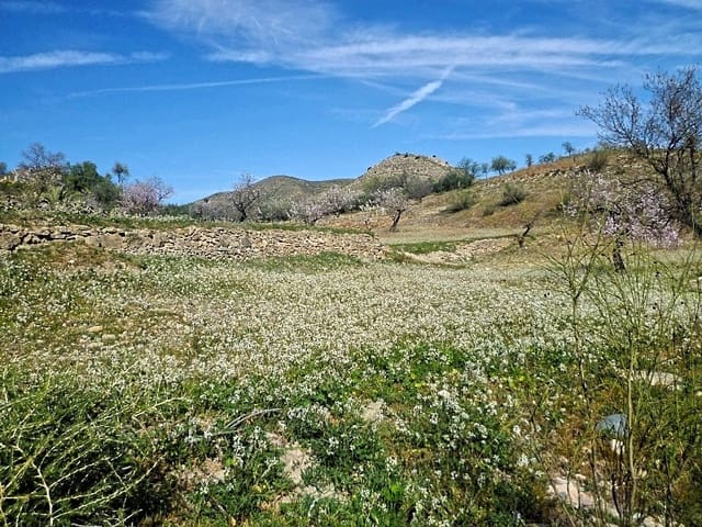 Undeveloped Land for sale in Lubrín - € 29,950 (Ref: 8160623)