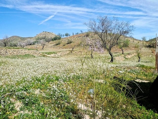 Undeveloped Land for sale in Lubrín - € 29,950 (Ref: 8160623)