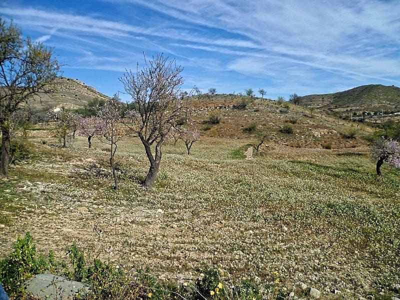 Grond te koop in Lubrin - € 29.950 (Ref: 8160623)