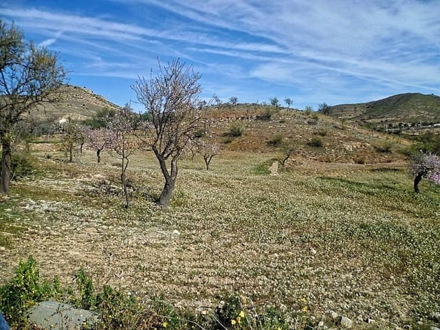 Undeveloped Land for sale in Lubrín - € 29,950 (Ref: 8160623)
