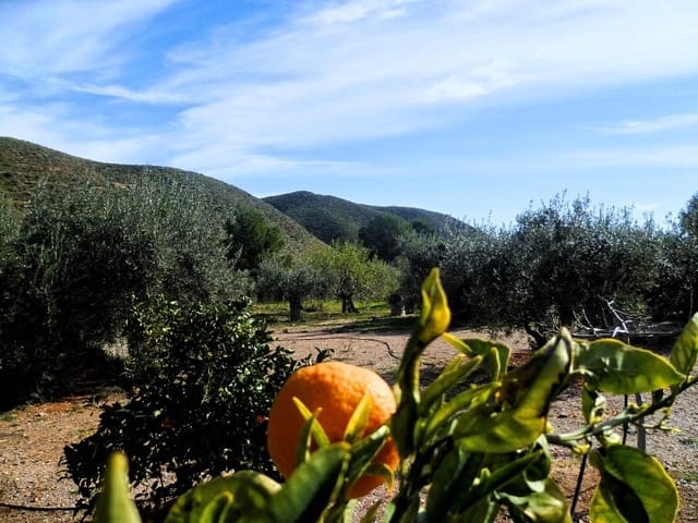 Undeveloped Land for sale in Lubrín - € 40,000 (Ref: 8160624)