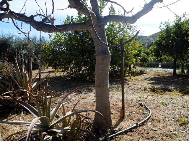 Undeveloped Land for sale in Lubrín - € 40,000 (Ref: 8160624)