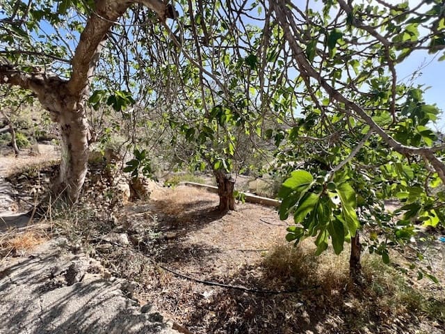 4 bedroom Finca/Country House for sale in Lubrin with garage - € 94,950 (Ref: 8424701)