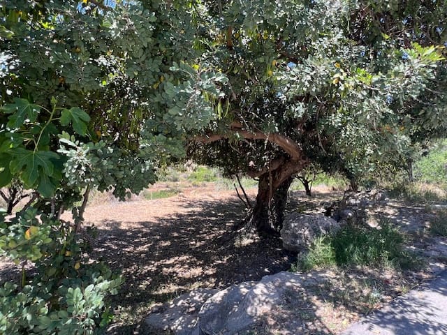 5 soverom Finca/Herregård til salgs i Sorbas - € 124 950 (Ref: 9019246)