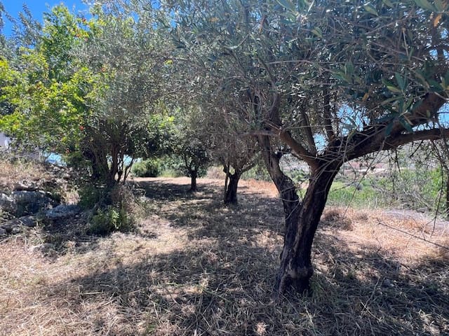 5 soveværelse Finca/Landehus til salg i Cariatiz, Sorbas - € 124.950 (Ref: 9019246)